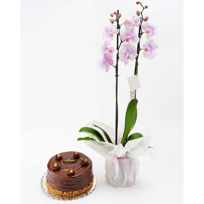 Pink Orchid Package 