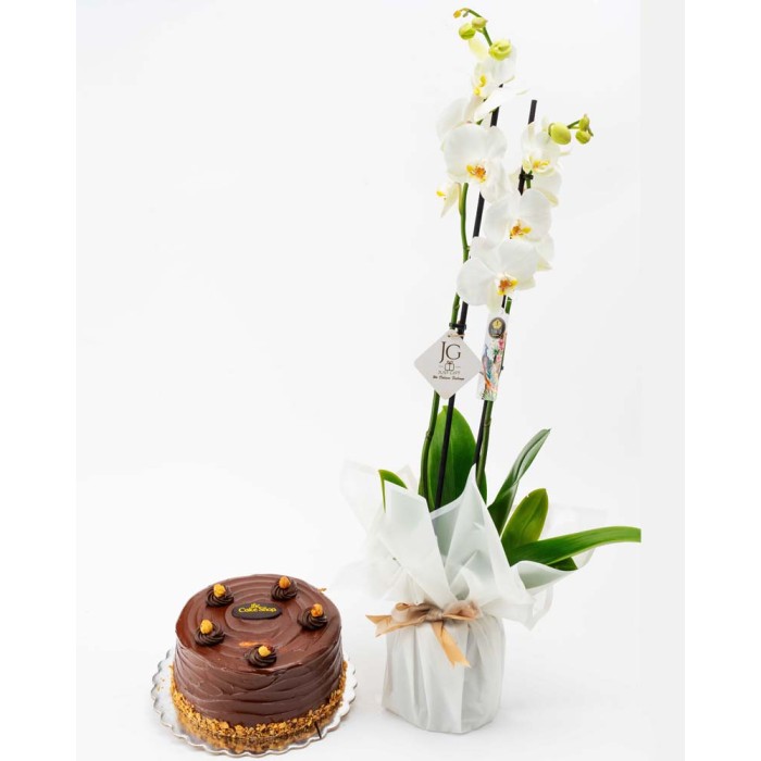 White Orchid Package 