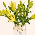 White Lilly Vase