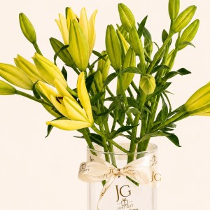 White Lilly Vase