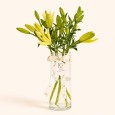 White Lilly Vase