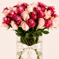 Delicate Rose vase