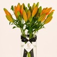 Orange Lilly Vase